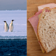 Photos: David Ball, Annick Vanderschelden Photography/Getty Images